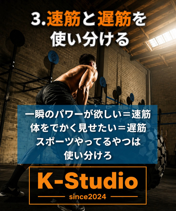 画像445